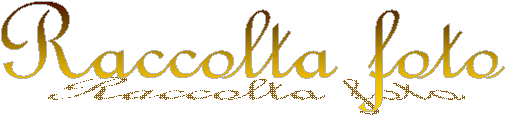 Raccolta foto